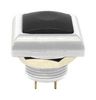 E-SWITCH RP8400B2M1CENICBLKNIL