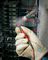 FLUKE FLUKE LVD1A