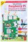 RASPBERRY-PI MAG38