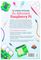 RASPBERRY-PI MAG34