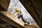 DEWALT WORKWEAR PRO TRADESMAN 38/29